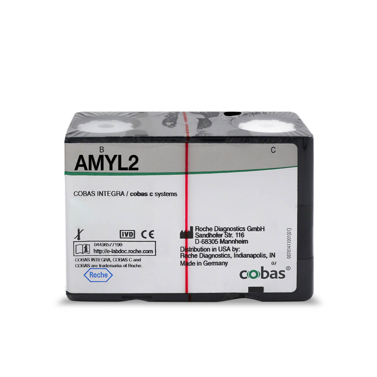 AMYL 300 TEST