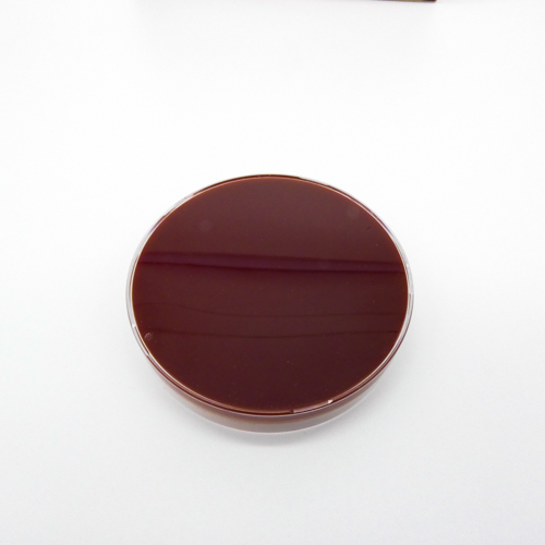 CHOCOLATE AGAR 90mm