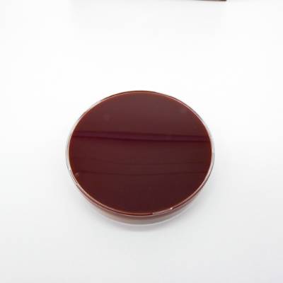 CHOCOLATE AGAR 90mm