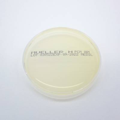 MUELLER HINTON AGAR 90mm