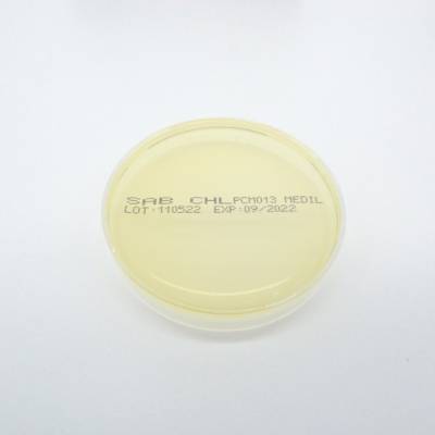 SABOURAUD AGAR +CHLORAPHENICOL 90mm