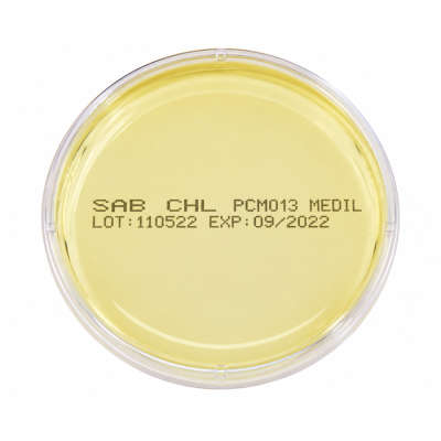 SABOURAUD AGAR +CHLORAPHENICOL 90mm